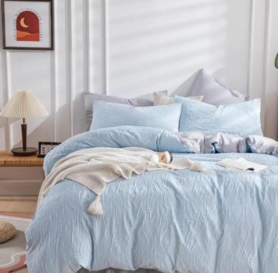 Quod conclave stilus aptissimus est pro solido colore textili Nadine moderni stili duvet operculum paro?